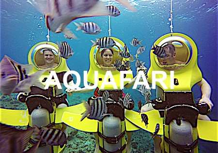 Underwater Fun & Adventure Curacao